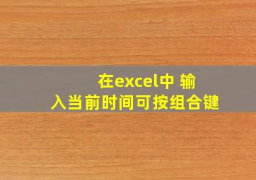 在excel中 输入当前时间可按组合键